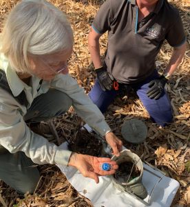 Friends of Paganoni Swamp Coordinator holding a data logger which will track the temperatures in Phascogale nesting tubes